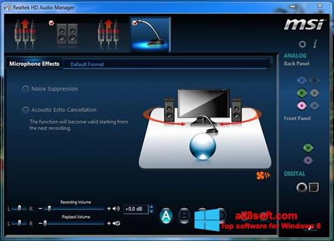 Ekran görüntüsü Realtek Audio Driver Windows 8