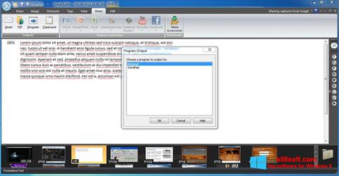 Ekran görüntüsü Snagit Windows 8