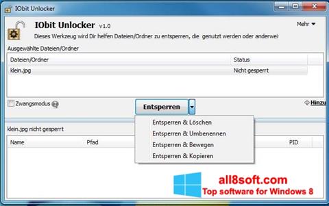 Ekran görüntüsü IObit Unlocker Windows 8