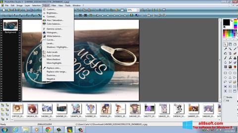 Ekran görüntüsü PhotoFiltre Studio X Windows 8