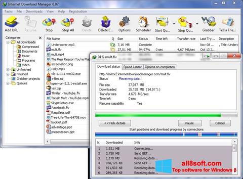 Ekran görüntüsü Internet Download Manager Windows 8