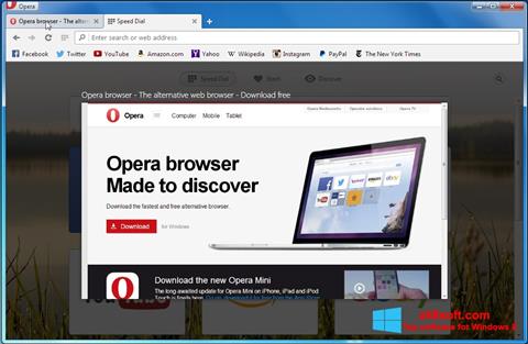 Ekran görüntüsü Opera Developer Windows 8