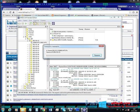 Ekran görüntüsü DMDE Windows 8