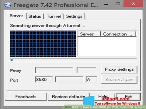 Ekran görüntüsü Freegate Windows 8