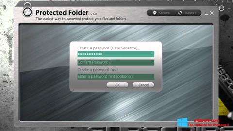 Ekran görüntüsü Protected Folder Windows 8