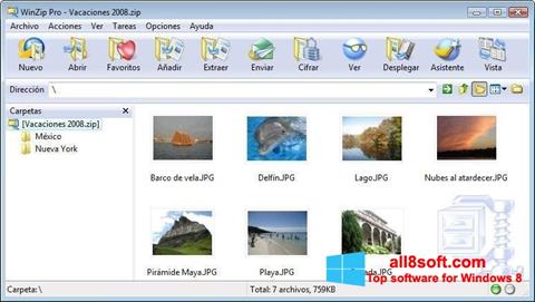 Ekran görüntüsü WinZip Windows 8